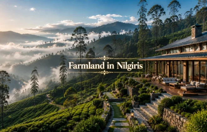Vetting premium agricultural property to buy farmland in Nilgiris hill stations