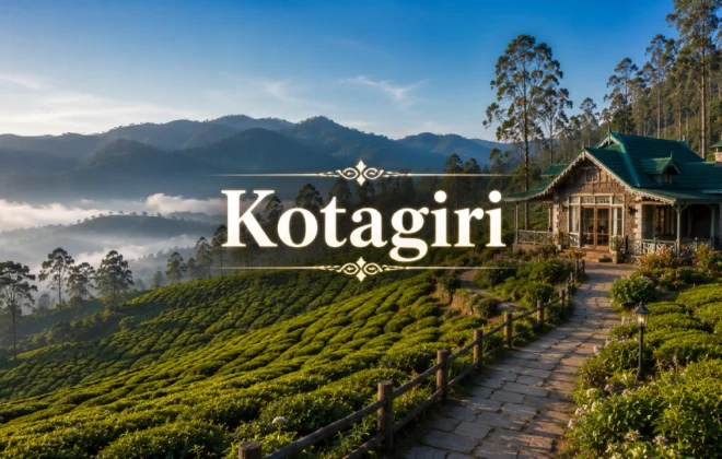 Premium terraced agricultural land for sale in Kotagiri foothills