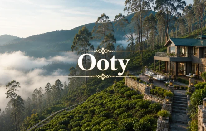 Premium terraced tea garden farmland for sale in Ooty ridge