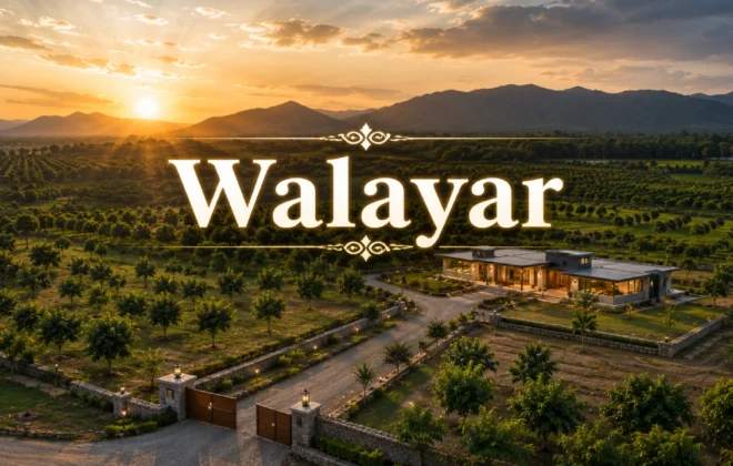 Large-scale agricultural farmland for sale in Walayar highway belt